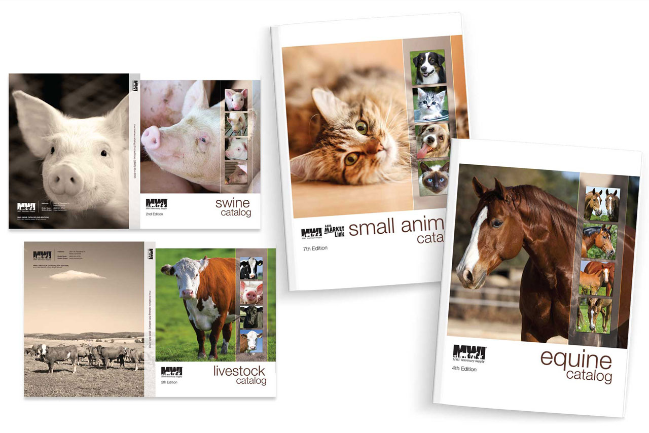 Catalogs